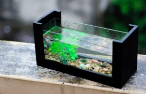 Un aquarium propre