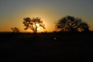 Mozambique