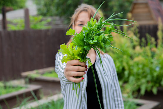 Mâcher des plantes
