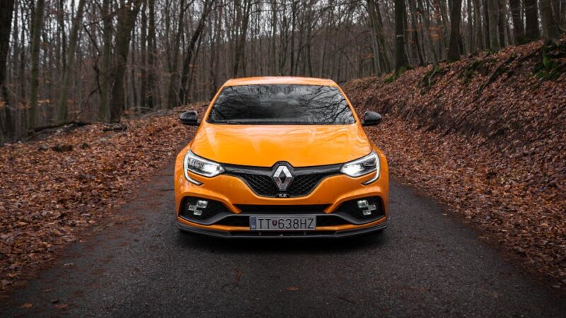 Pourquoi le Renault Scénic 3 reste un choix malin en 2025 ?