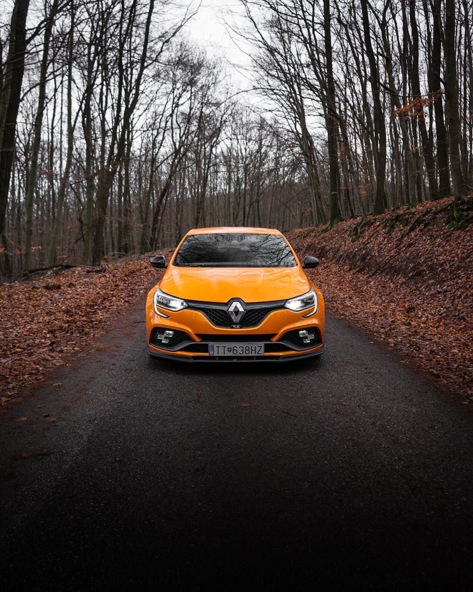 Pourquoi le Renault Scénic 3 reste un choix malin en 2025 ?