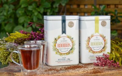 thé de rooibos